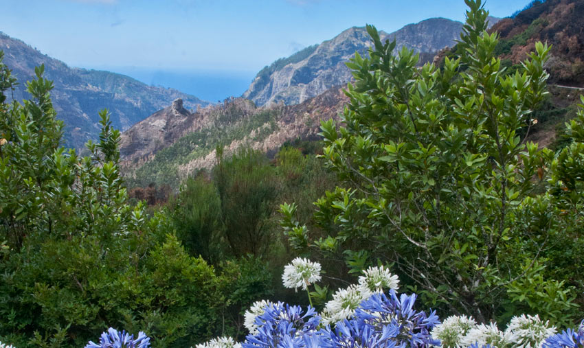 Rugged interior of Madeira island, Portugal