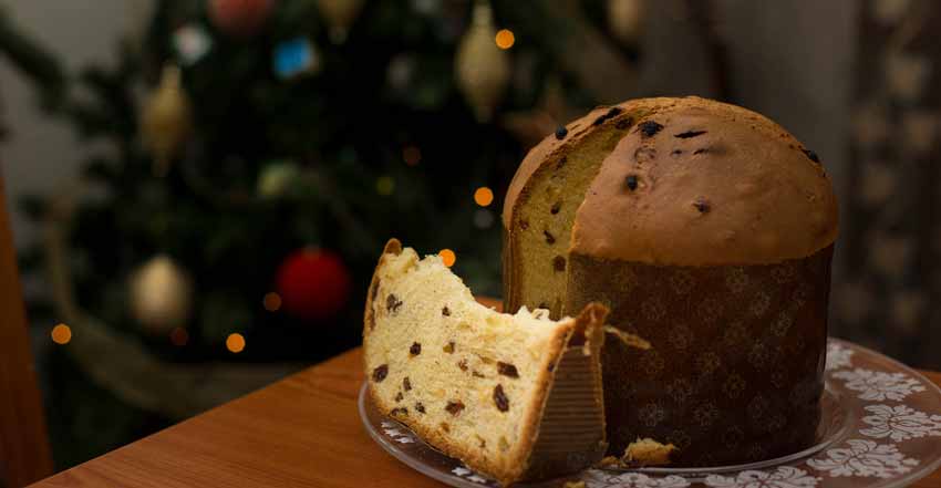 Panettone is a traditional Italian delicacy