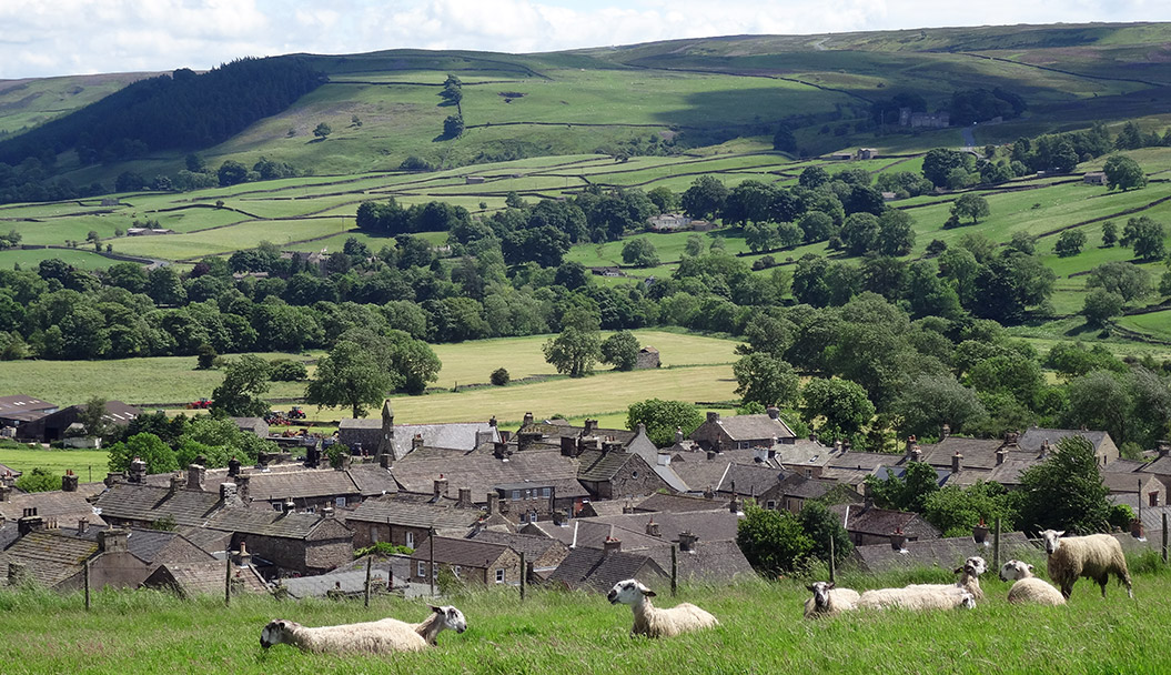 Sheep on Wainwright's Coast to Coast