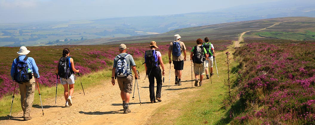 Coast to Coast guided - Walkers' Britain