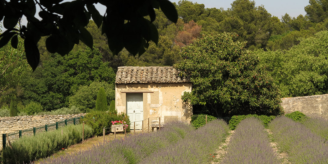 famous hiking trails - Provence Vincent van Gogh