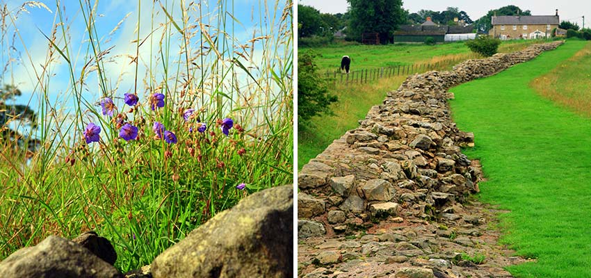 7 facts about hadrian's wall path in england - sherpa expeditions