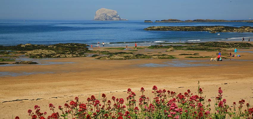 Bass Rock on the John Muir Way in Scotland