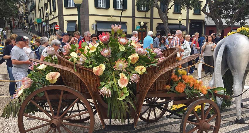 Visit Madeira's flower festival