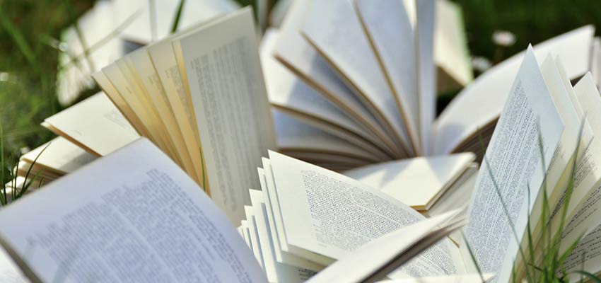 Travel Novels - Walkers' Britain
