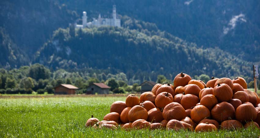 walking in Bavaria and Neuschwanstein Castle