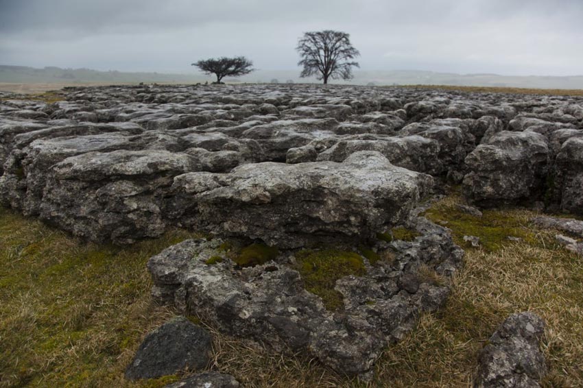 Limestone Grikes on Coast to Coast Walk