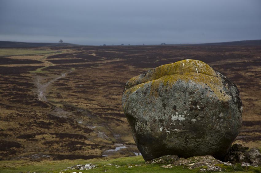 The lone boulder on the Moor on Coast to Coast Walk