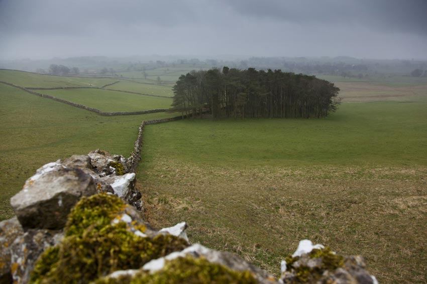 Above Orton on Coast to Coast Walk