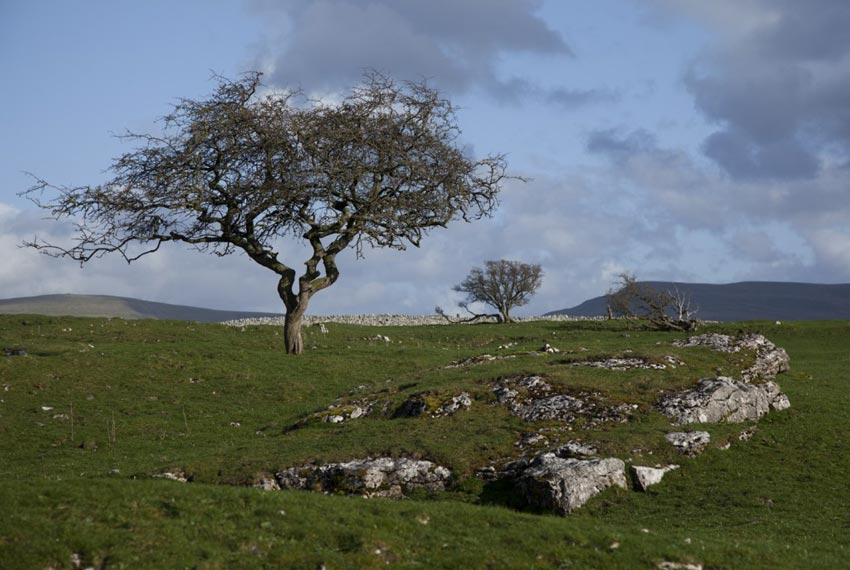 Farmland on Coast to Coast Walk