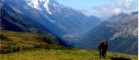 First views of Switzerland when walking around Mont Blanc |  <i>Caity Wallace</i>