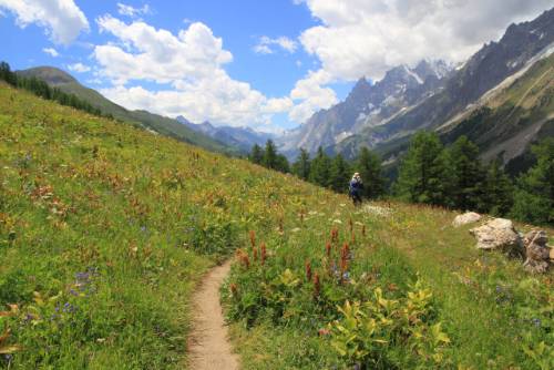 Beautiful landscape on the Tour du Mont Blanc trail