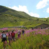 Day 1 of the Tour Du Mont Blanc descending into Switzerland | Ryan Graham