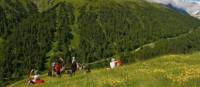 Group above Zermatt | Sue Badyari