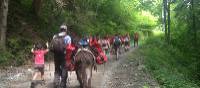 Family group hiking with donkeys around Mont Blanc | Kate Baker