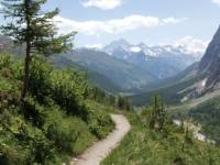 Verdant trail through the heart of the European Alps |  <i>Annika Rautiola</i>