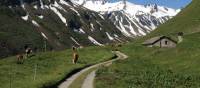 Vibrant colours as we wander through the European Alps | Annika Rautiola