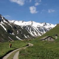 Vibrant colours as we wander through the European Alps | Annika Rautiola