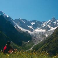 Spring flowers with breathtaking views above La Fouly, Switzerland | Sue Badyari