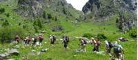 Walking near Le Chable, Switzerland  |  <i>Christina Dott</i>