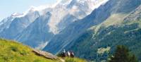 Hikers in the Zermatt Valley, Switzerland | Sarah Higgins