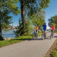 Bike riding by the Danube river in the Wachau Valley, Austria | Martin Steinthaler