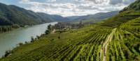 Cycling vineyards trails alongside the Drau river in Austria | Martin Steinthaler