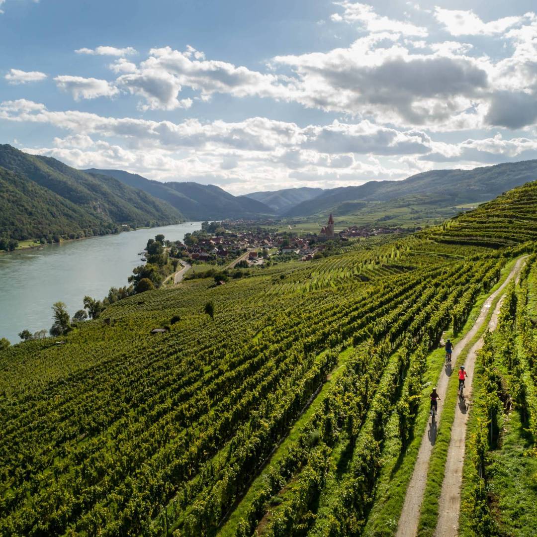 Cycling vineyards trails alongside the Drau river in Austria | Martin Steinthaler