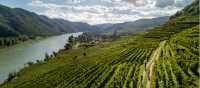 Cycling vineyards trails alongside the Drau river in Austria | Martin Steinthaler