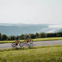 Riding along the Danube bike path in Austria | CM Visuals