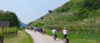 Cycling the Wachau Valley, Austria | Pat Rochon