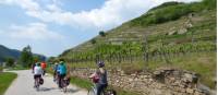 Cycling the Wachau Valley, Austria |  <i>Pat Rochon</i>