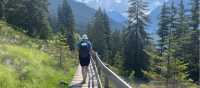 Walking through forests on the Lechweg Trail | Tali Emdin