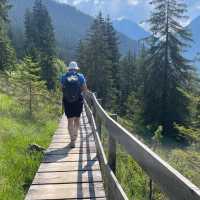 Walking through forests on the Lechweg Trail | Tali Emdin