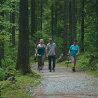 Hikers in forest, Salzkammergut | Kate Baker