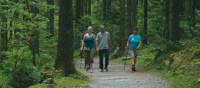 Hikers in forest, Salzkammergut | Kate Baker