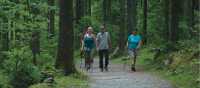 Hikers in forest, Salzkammergut | Kate Baker