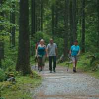 Hikers in forest, Salzkammergut | Kate Baker