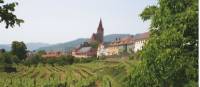 Wine growing village in the Wachau Valley, Austria |  <i>Kate Baker</i>