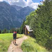 Alpine pastures, Austrian Alps