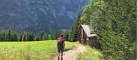Alpine pastures, Austrian Alps