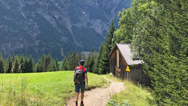 Alpine pastures, Austrian Alps