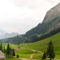 Nature in Switzerland | Jay Van