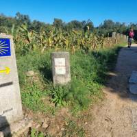 Following the trail signs on the Portuguese Camino | John Parker