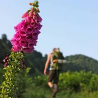 Crossing the French Spanish border on the Compostela Trail, Pyrenees | Helen Denman