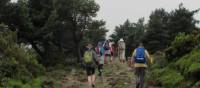 Hiking amongst heather on the Camino, Spain | Andreas Holland