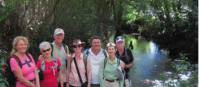 On the Camino Primitivo near Oviedo |  <i>Andreas Holland</i>