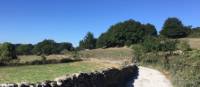 Enjoy the Spanish countryside on your Camino walk | Sue Finn
