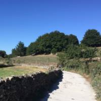 Enjoy the Spanish countryside on your Camino walk | Sue Finn
