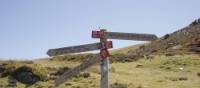 Signposts on the Compostela Trail | Gaby Dean